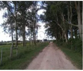 Imagem Area para Venda - 1.100.000m², Vila Santa Rosa