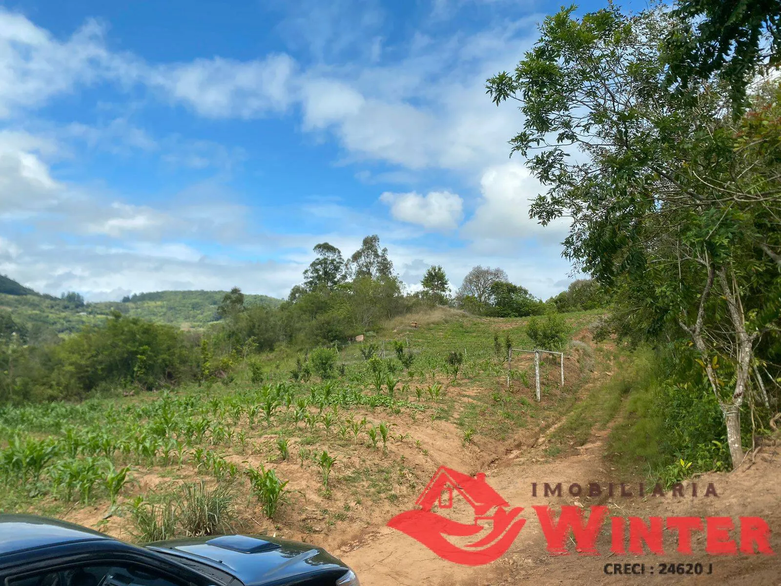 Imagem Área de terras com 6,3 hectares em São Roque, Feliz.