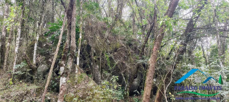 Imagem Oportunidade Única na Serra da Mantiqueira! Pedra do Jair.