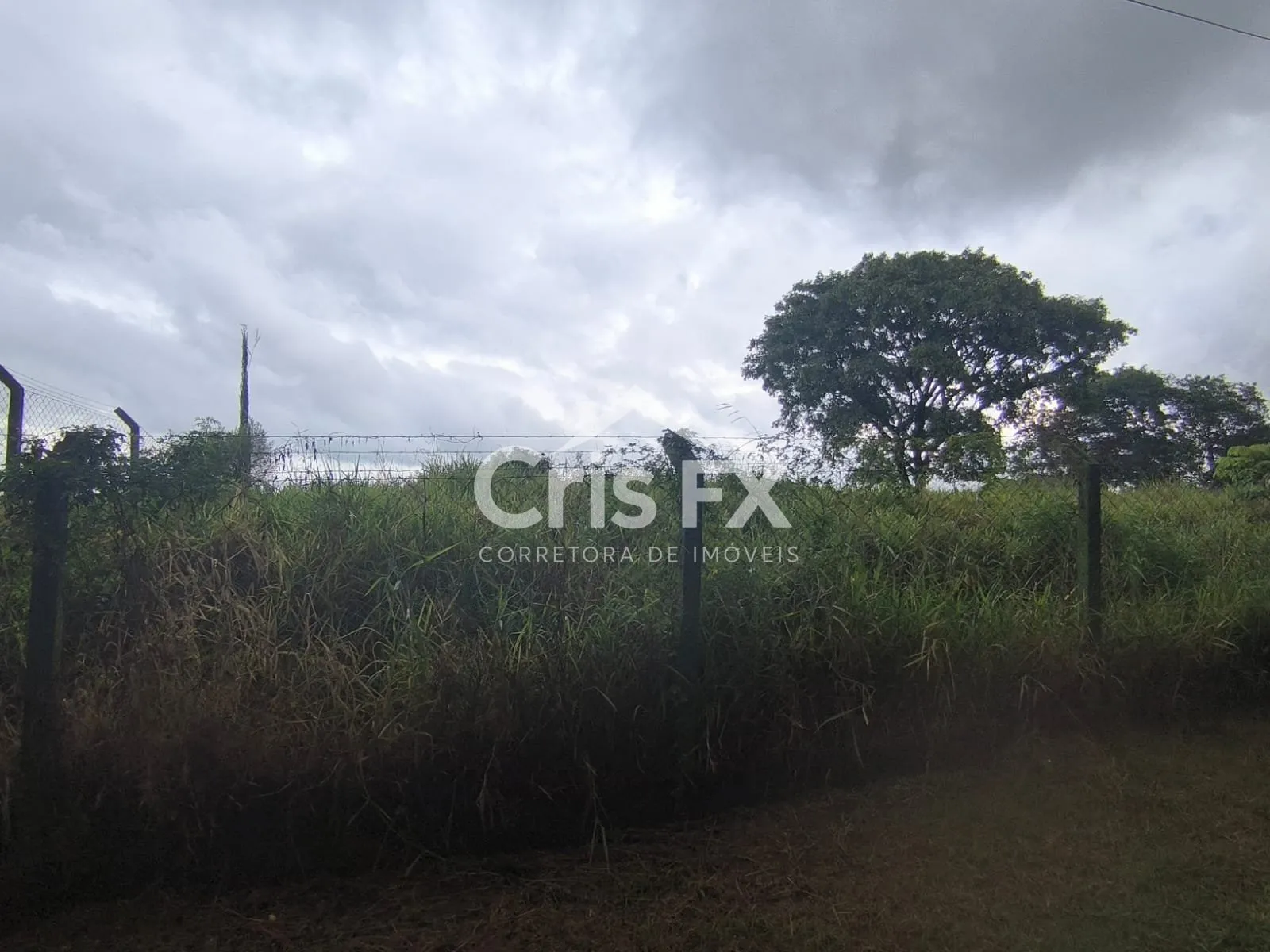 Imagem Lote/Terreno de 15000m² no bairro Vista Alegre, em Vinhedo