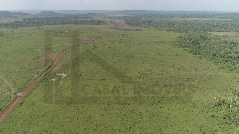 Foto do imóvel CASAL IMÓVEIS VENDE FAZENDA EM PARAGOMINAS 500 ALQUEIRES