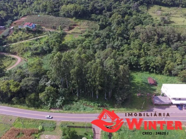 Foto do imóvel Área de terra com 7.884,70m² no São Roque/ Feliz.