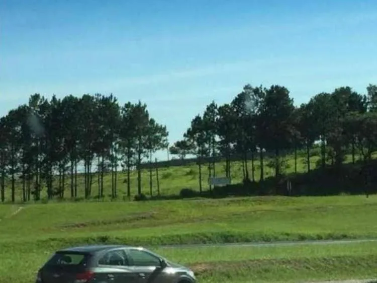 Imagem Área na Rodovia Castelo Branco (em frente a Toyota)