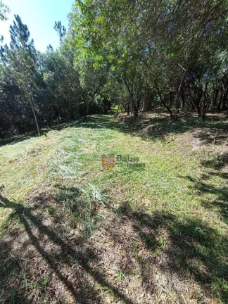 Imagem Terreno à venda, 20000 m² por R$ 1.490.000 - Pinheirinho - Atibaia/SP