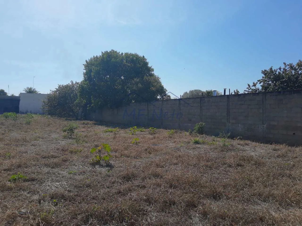 Imagem Terreno Padrão