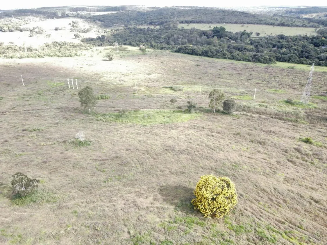 Imagem FAZENDA DE ALTO PADRÃO À VENDA - CARMO DO CAJURU (MG) 120 hectares de área total