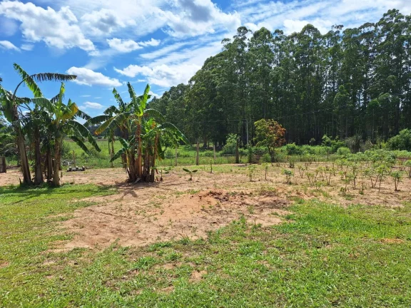 Imagem OPORTUNIDADE!!! Sítio 7.500m², Casa de madeira, Galpão, Pomar, Morro Grande