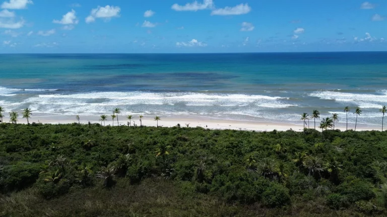 Foto do imóvel FAZENDA BEIRA MAR E MATA ATLANTICA