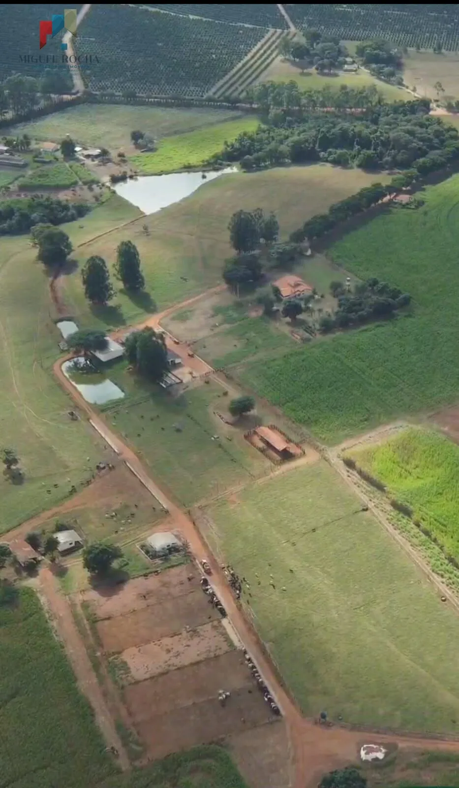 Imagem Fazenda á venda em Avaré SP