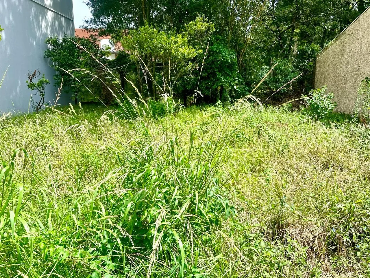 Imagem Terreno à venda em Caxias do Sul, Petrópolis, 334.5m2