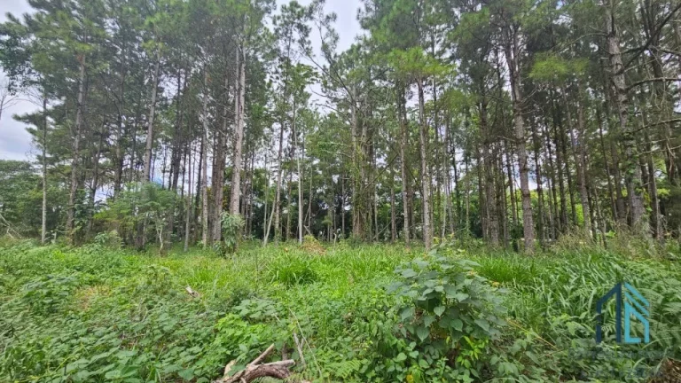 Imagem Terreno de Esquina a venda - Zona Industrial 7872 m2 em Blumenau SC