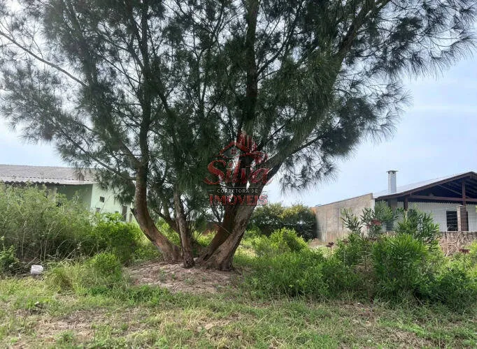 Imagem T671 | Terreno 300m² em região tranquila, Sta. Terezinha