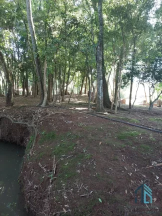 Imagem Chácara 4.000 mil m², com casa localizado em Enéas Marques - PR