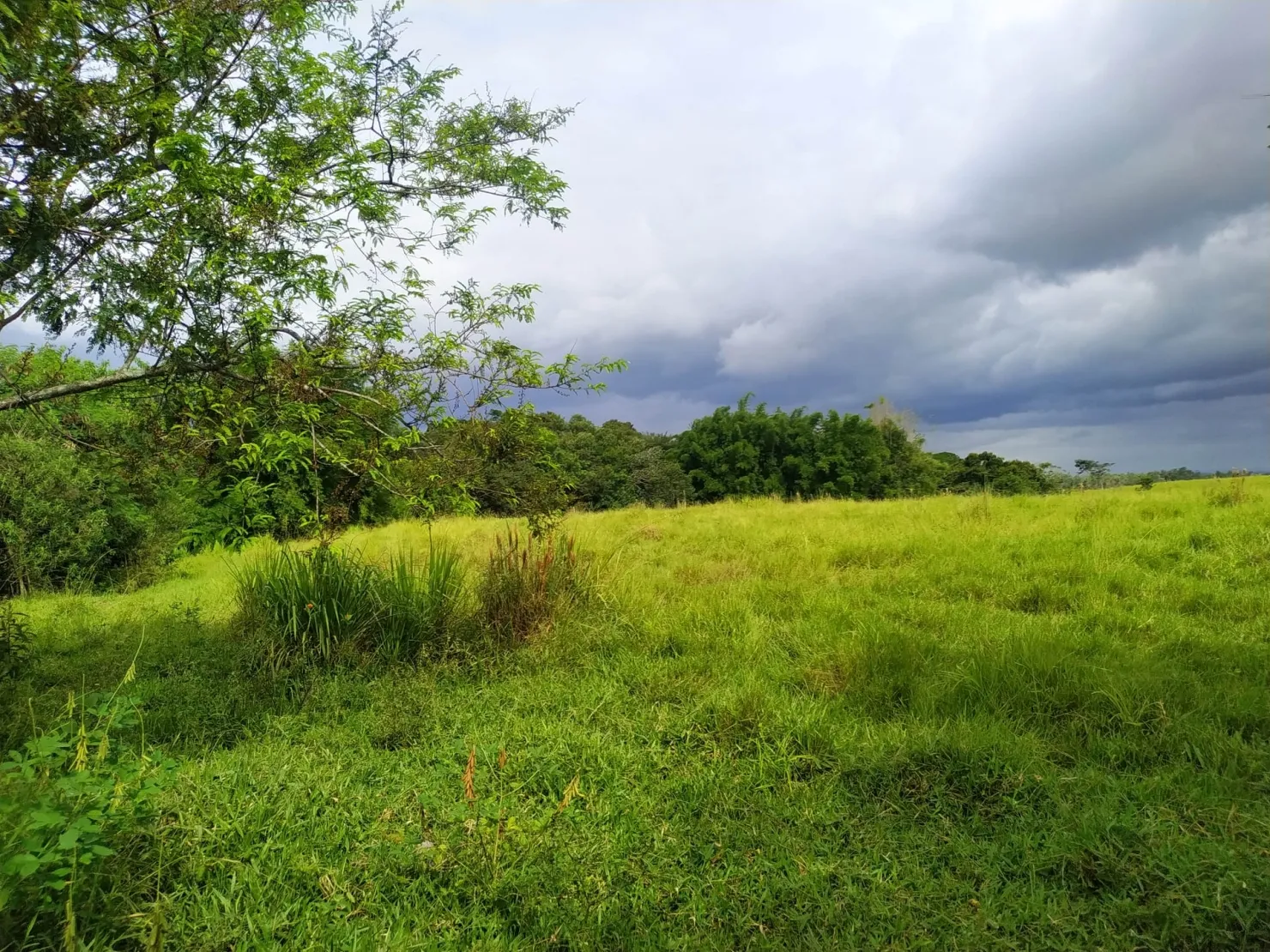 Imagem Chácara à venda 170000M², Bom Sucesso, Pindamonhangaba - SP