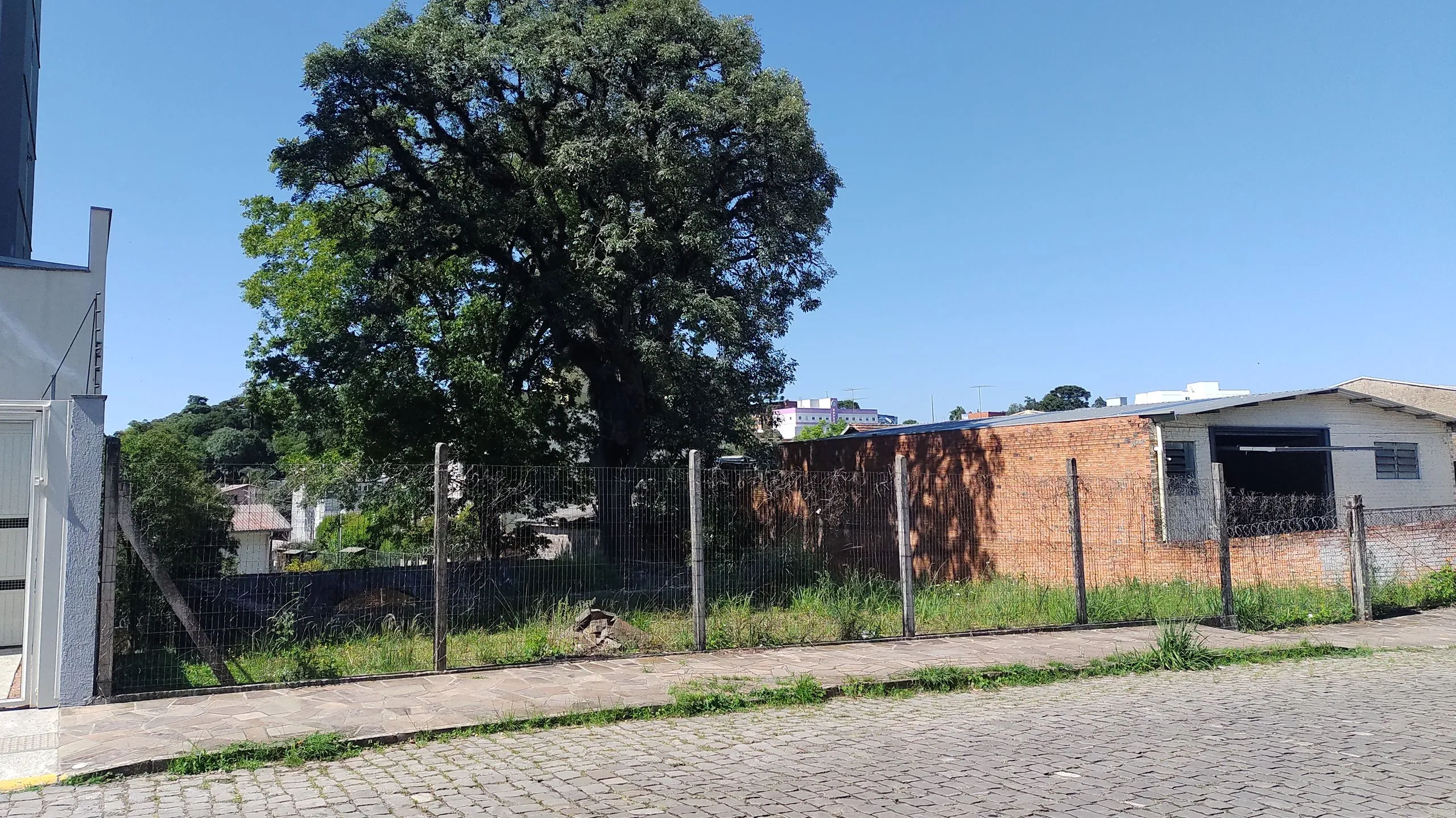 Foto do imóvel Terreno à venda em Caxias do Sul, Presidente Vargas, 728.16m2