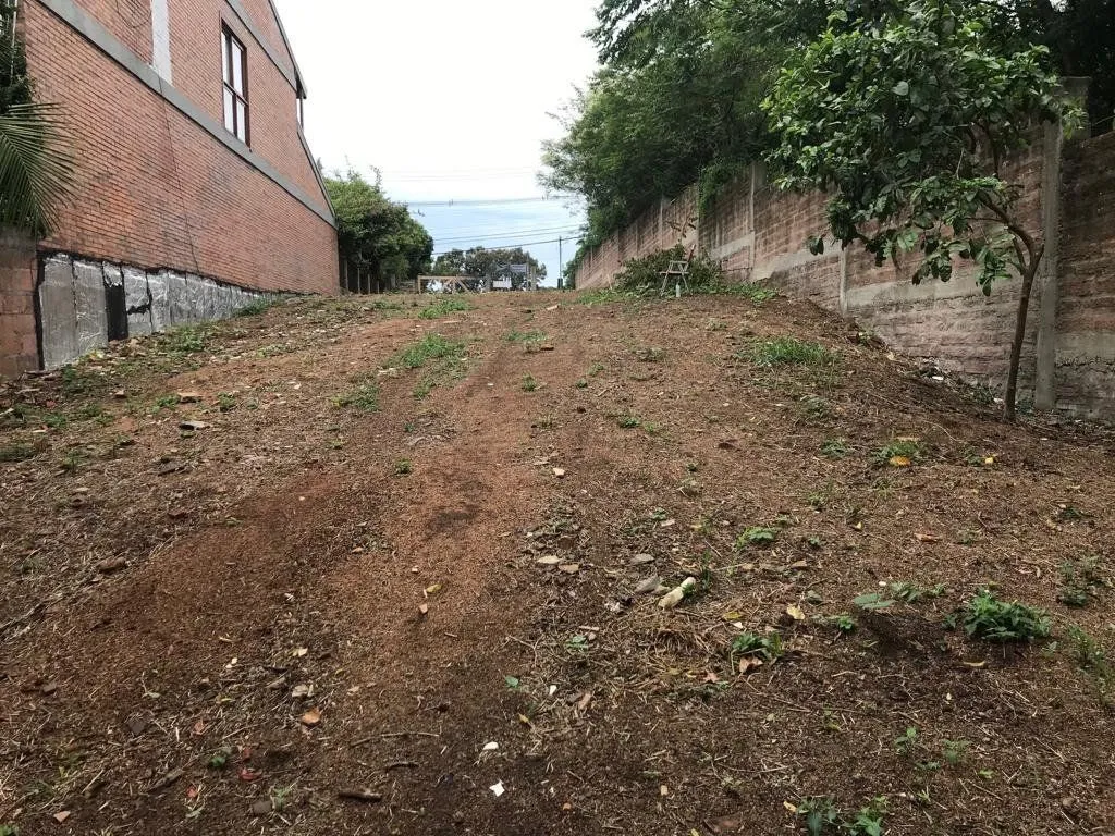 Imagem Terreno em Belém Velho