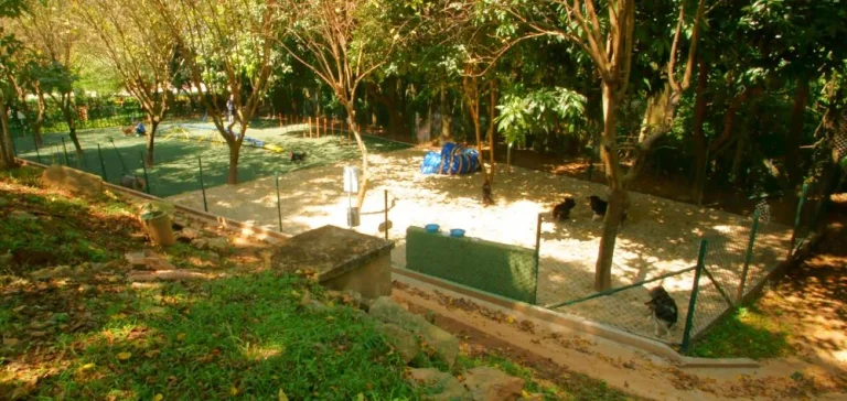 Imagem Casa em Alphaville 340m²