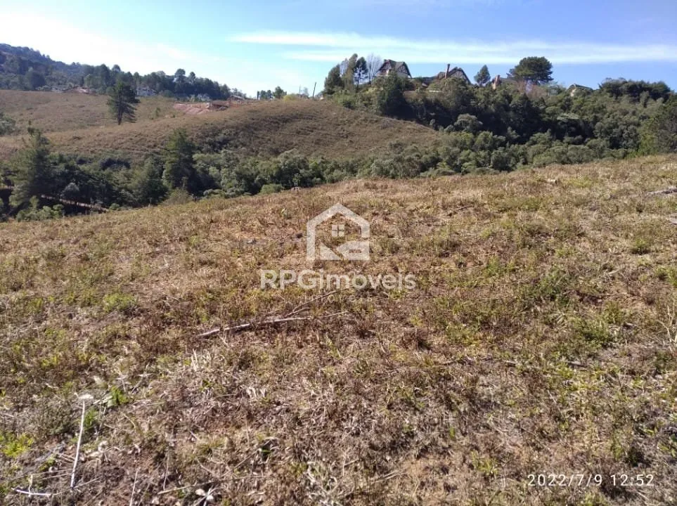 Imagem Terrenos limpos