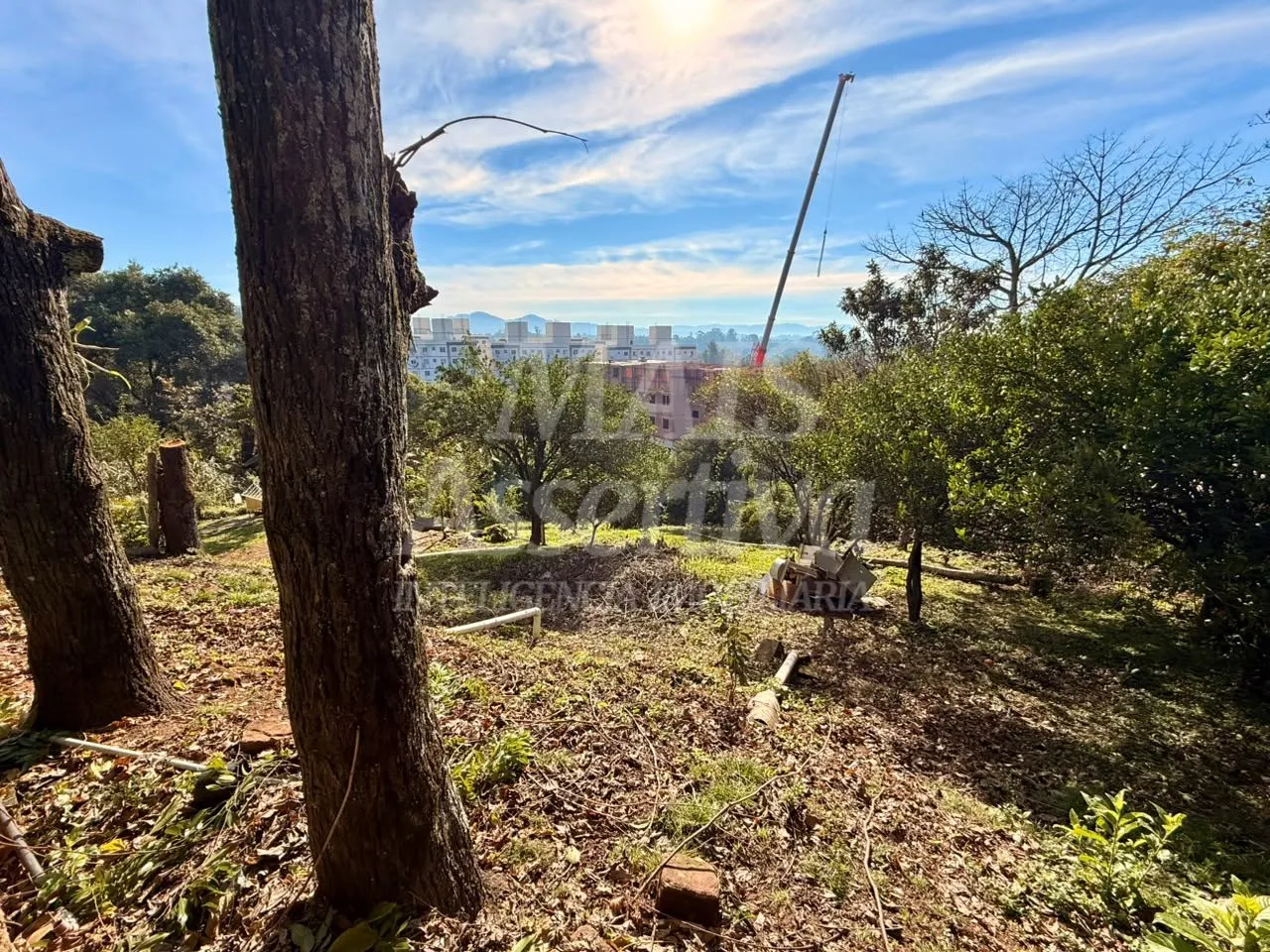 Imagem Imóvel comercial ara venda na Rua Guia Lopes de 750m² - prédio totalmente alugado