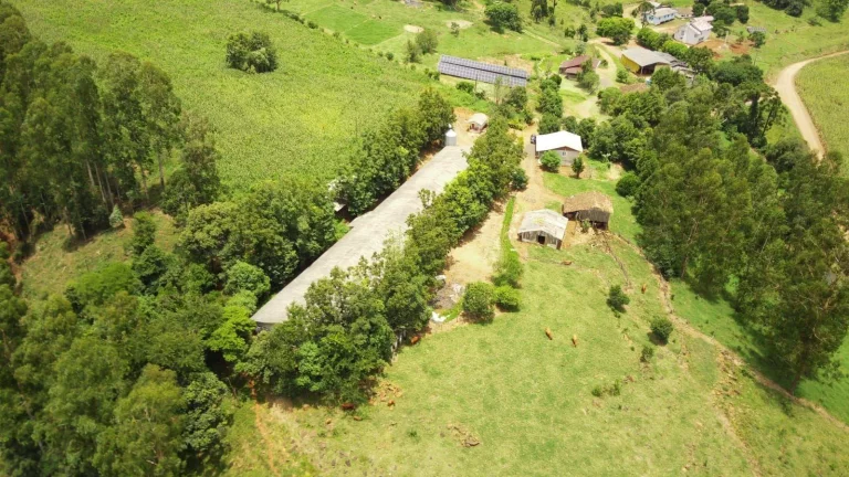 Imagem Área Agrícola para Venda em Jaborá, Rodovia