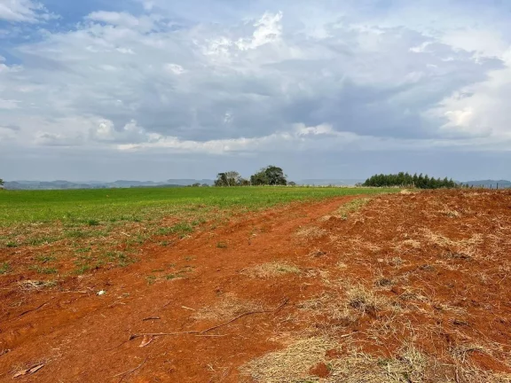 Imagem Terreno para Venda em Concórdia, Rural