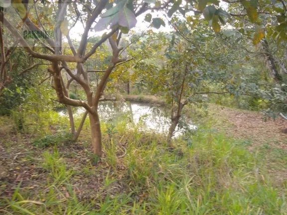Imagem TERRENO CANANÉIA