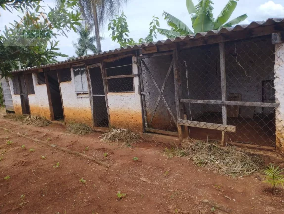 Imagem CHÁCARA CANANÉIA