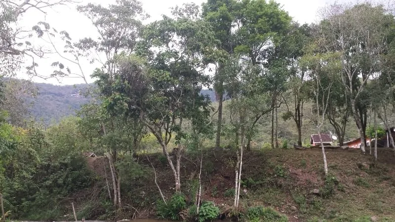 Foto do imóvel Chácara à venda 3 Quartos, 4 Vagas, 10000M², Ribeirão Grande, Pindamonhangaba - SP