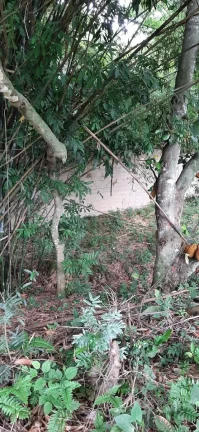 Foto do imóvel TERRENO RESIDENCIAL em RIO DE JANEIRO - RJ, CAMPO GRANDE