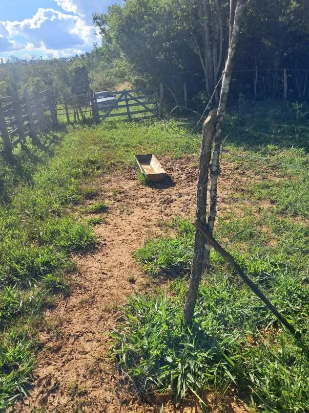 Imagem Terreno à Venda entre Oliveira e Morro do Ferro: 33 Hectares com Topografia Plana