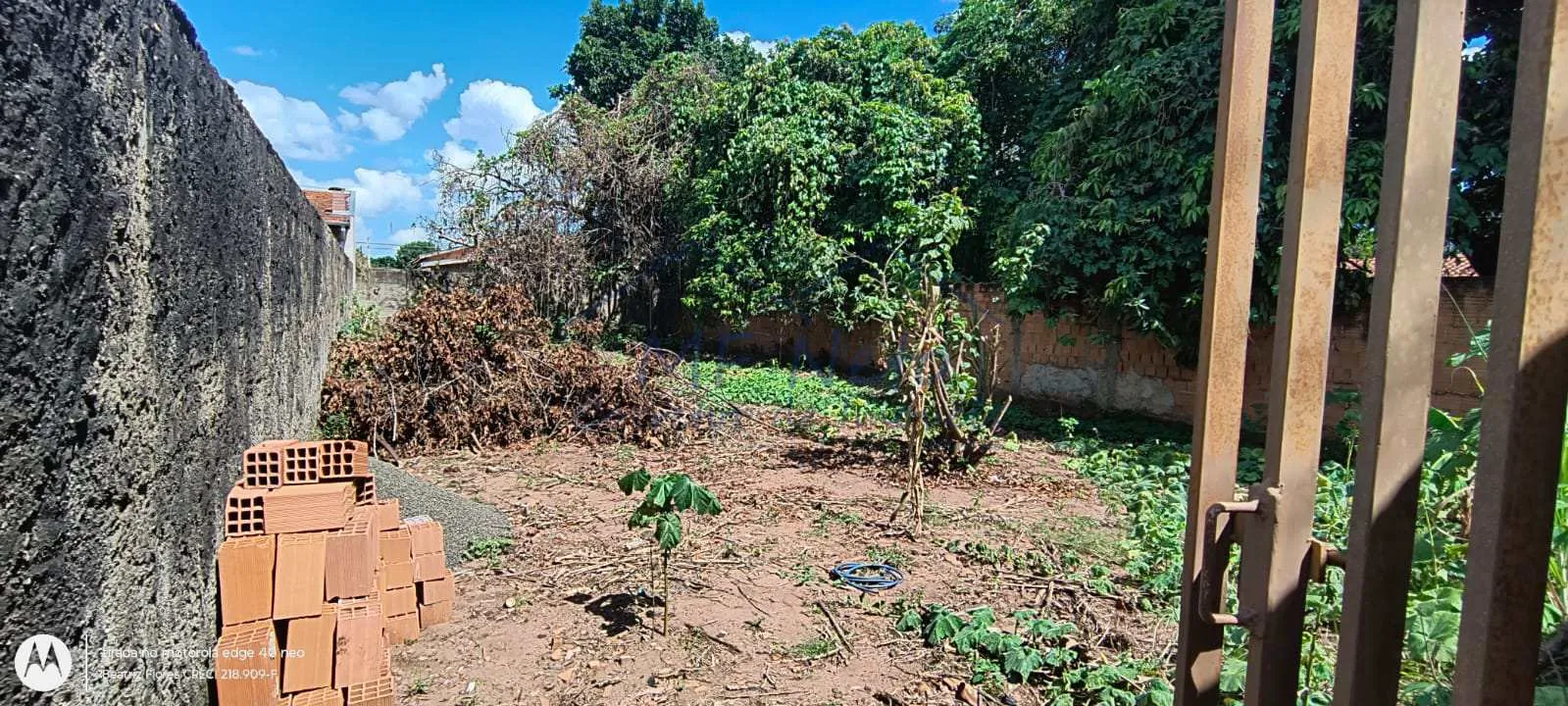 Imagem Terreno Padrão