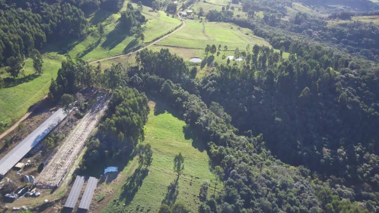 Imagem Fazenda para Venda em Concórdia, Interior