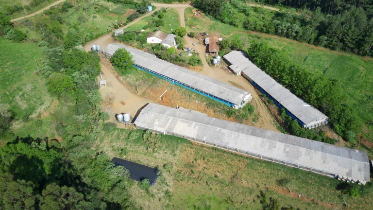 Imagem Granja para Venda em Lindóia do Sul, Interior
