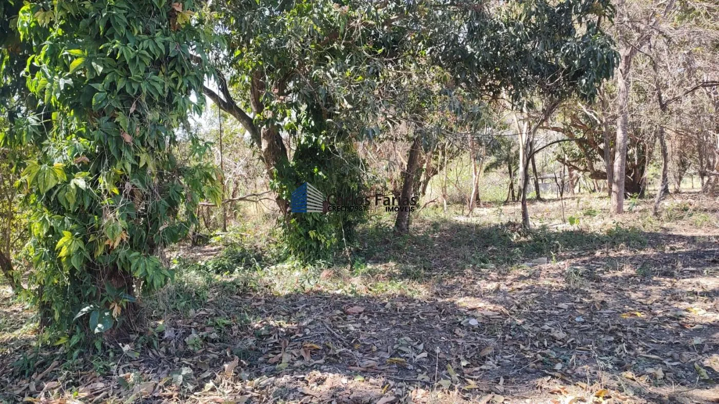 Imagem Chácara para Venda em Brasília, Área Rural do Gama, 2 dormitórios, 1 banheiro, 1 vaga