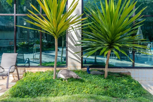 Imagem Apartamento à venda em São Paulo, Panamby, com 4 quartos, 192m2