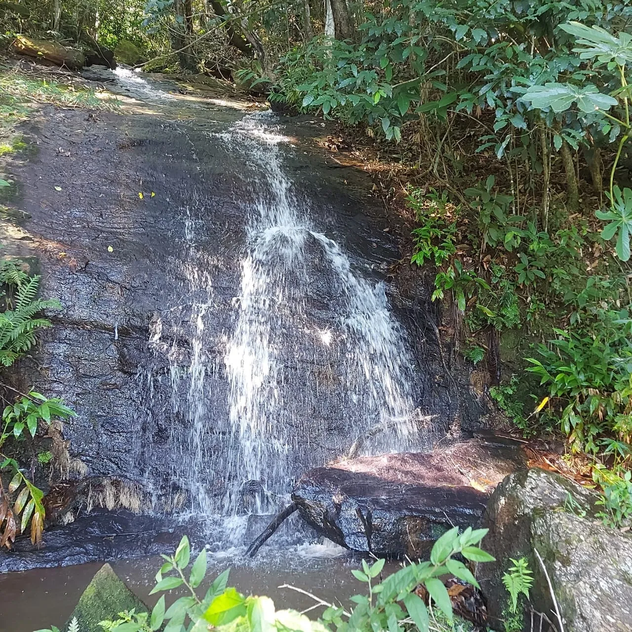 Imagem Chácara à venda 20000M², Mandú, Pindamonhangaba - SP