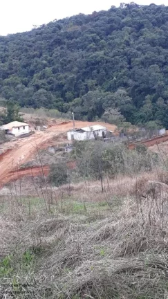 Imagem SITIO RURAL em BANDEIRA DO SUL - MG, Sitio Capituvas