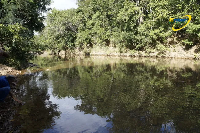 Imagem Fazenda à Venda, 681.000 m² em rural - São João D'Aliança