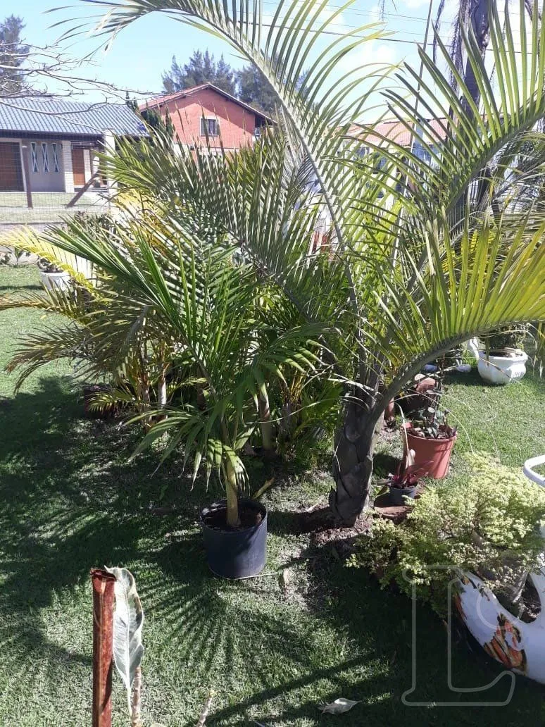 Imagem Casa para Venda - 114m², 2 dormitórios, sendo 1 suites, 2 vagas - Zona Nova