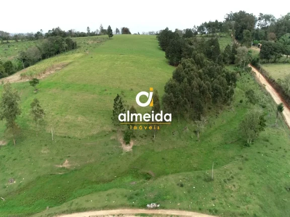 Imagem Chácara 3 dormitórios à venda Zona rural Restinga Seca/RS