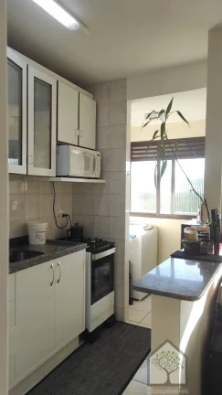 Imagem Apartamento à venda no Itacorubi – Florianópolis
