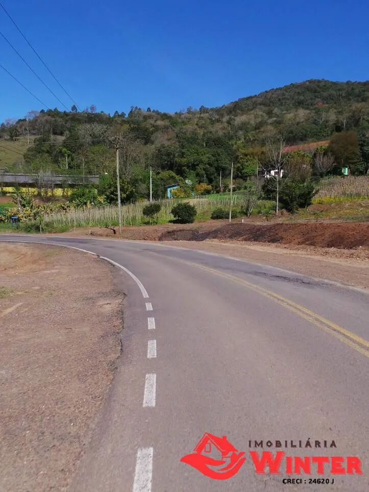 Imagem Amplos terrenos as margens da VRS 826 em Arroio Feliz-Feliz