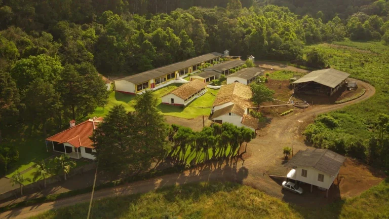 Imagem Granja para Venda em Concórdia, Rural