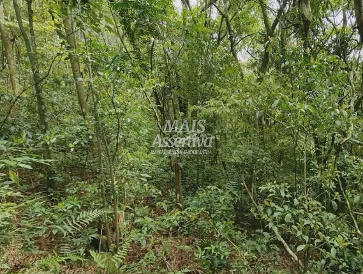 Imagem Sítio para Venda em São Francisco De Paula / RS no bairro Centro