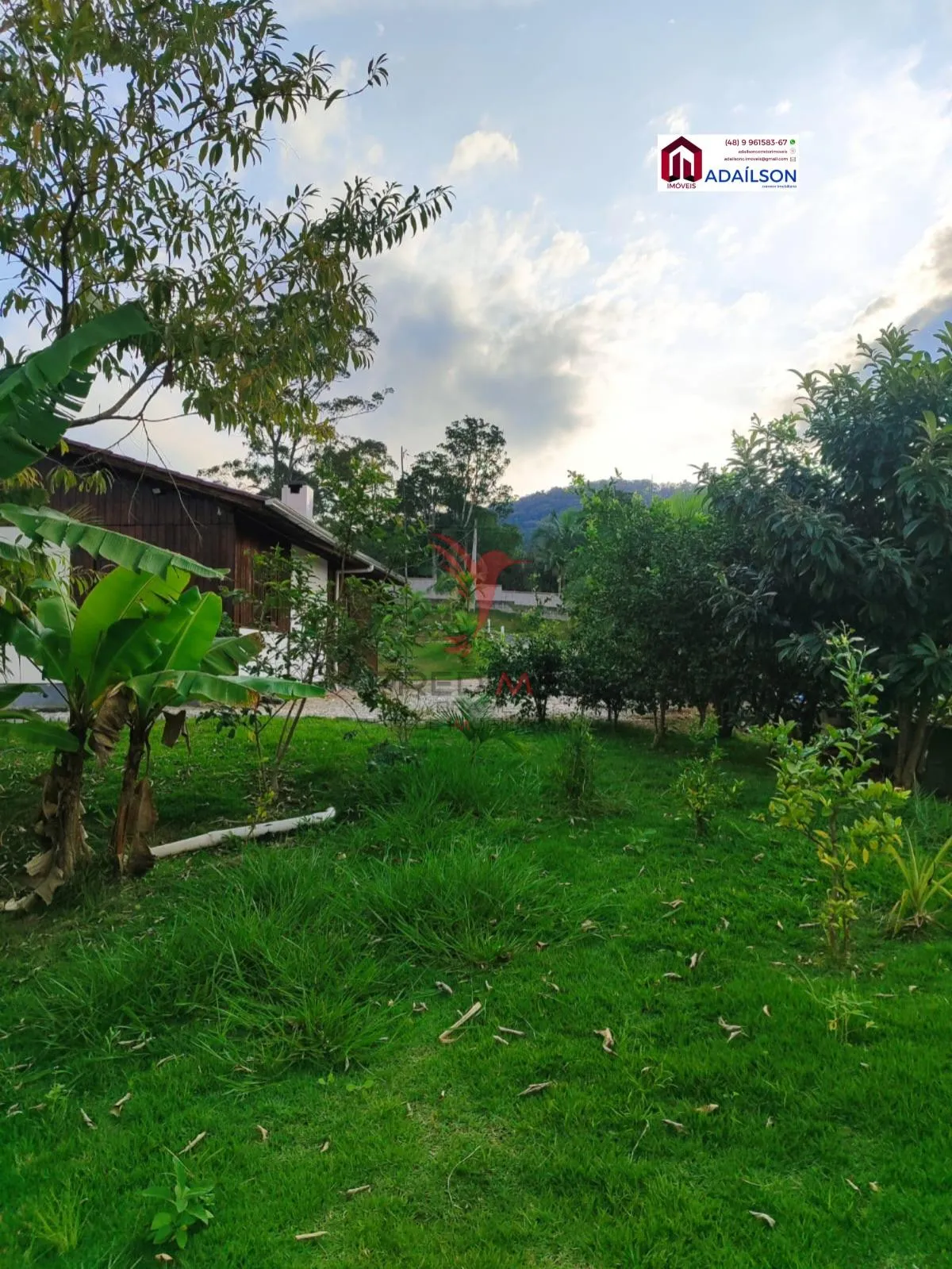 Imagem Sítio a venda no município de Tijucas - Timbe / SC Com 3 Quartos à venda, 1200m²