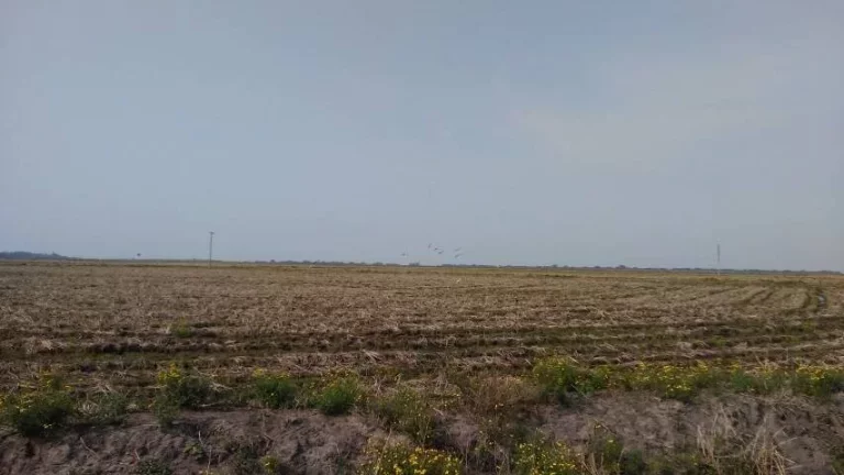 Imagem Fazenda à Venda – 194 Hectares – Viamão/RS