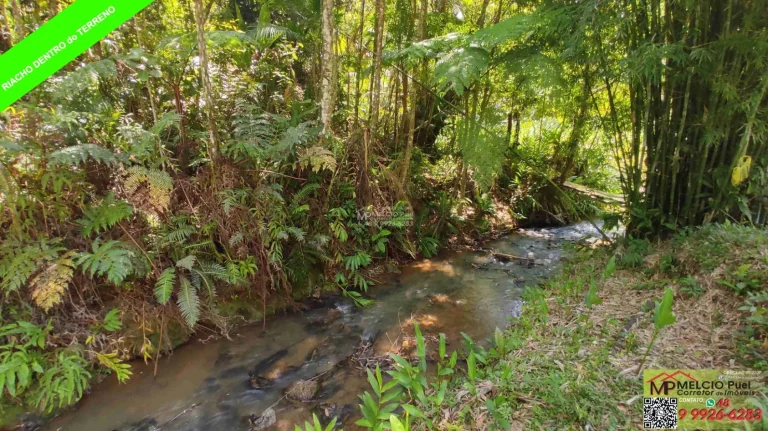 Imagem VENHA CONHECER O PARAÍSO NOVA TRENTINO! SÍTIO RECANDO DA ESPERANÇA Você está em busca de um refúgio tranquilo, próximo à natureza