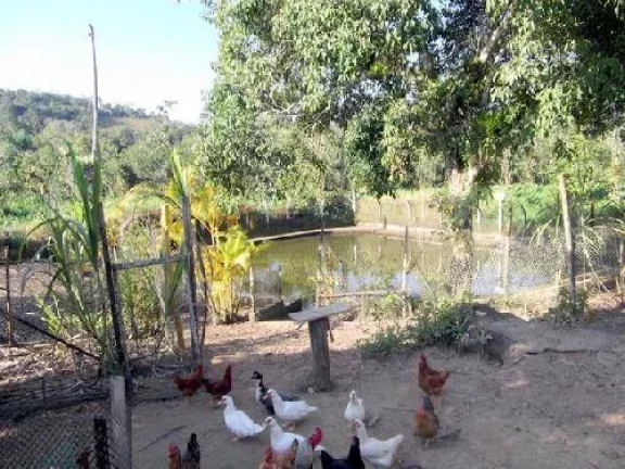 Imagem BELISSIMA CHACARA URBANA
