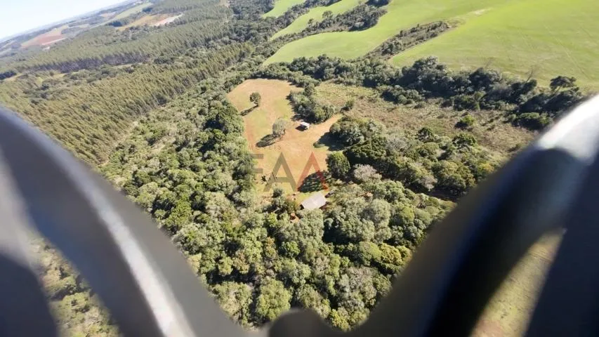 Imagem Sítio à venda com excelentes 24,62ha de área em Guarpuava PR
