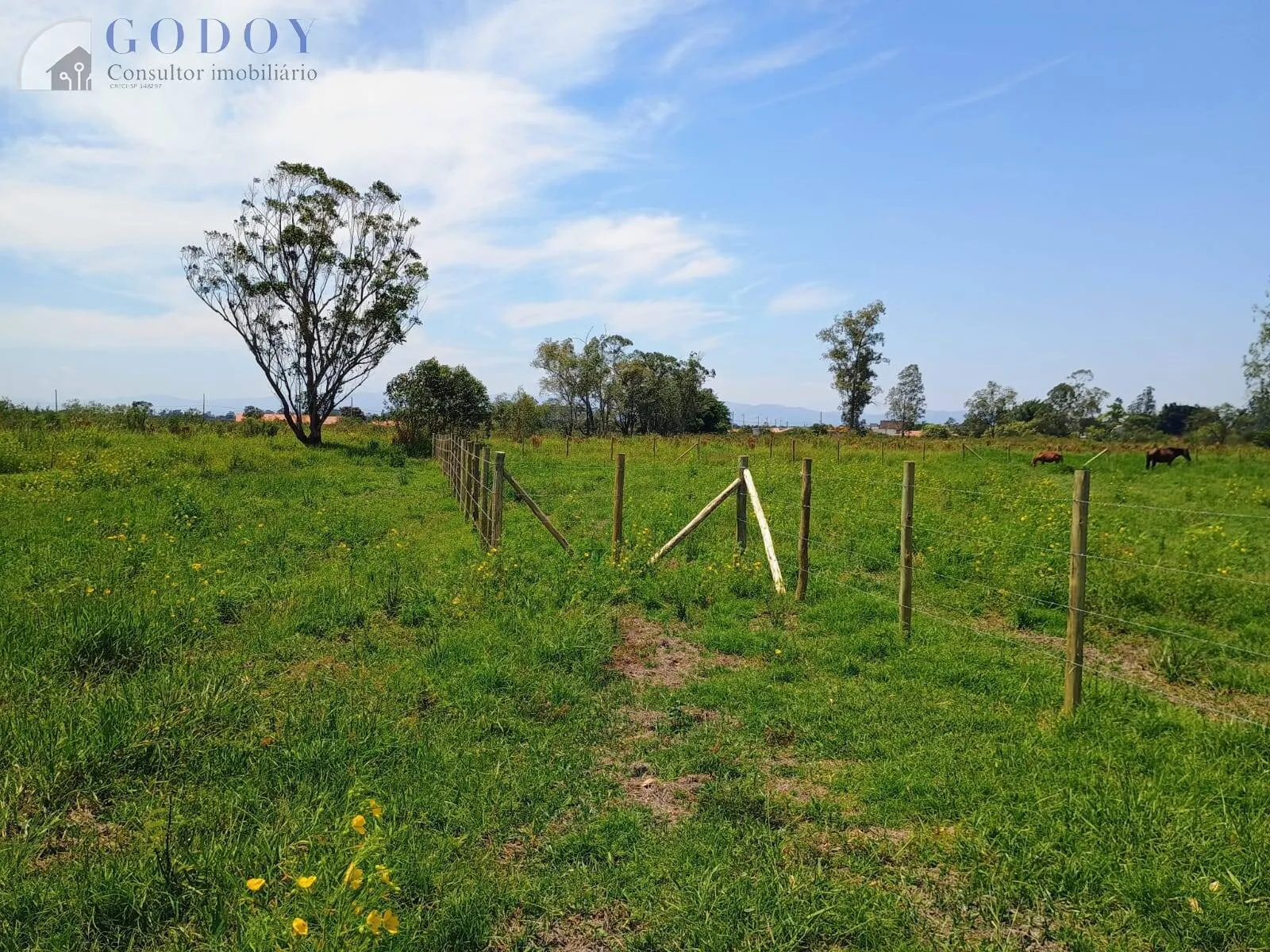 Imagem Terreno de 3.000 m² no Bairro Mandu - Excelente Localização!